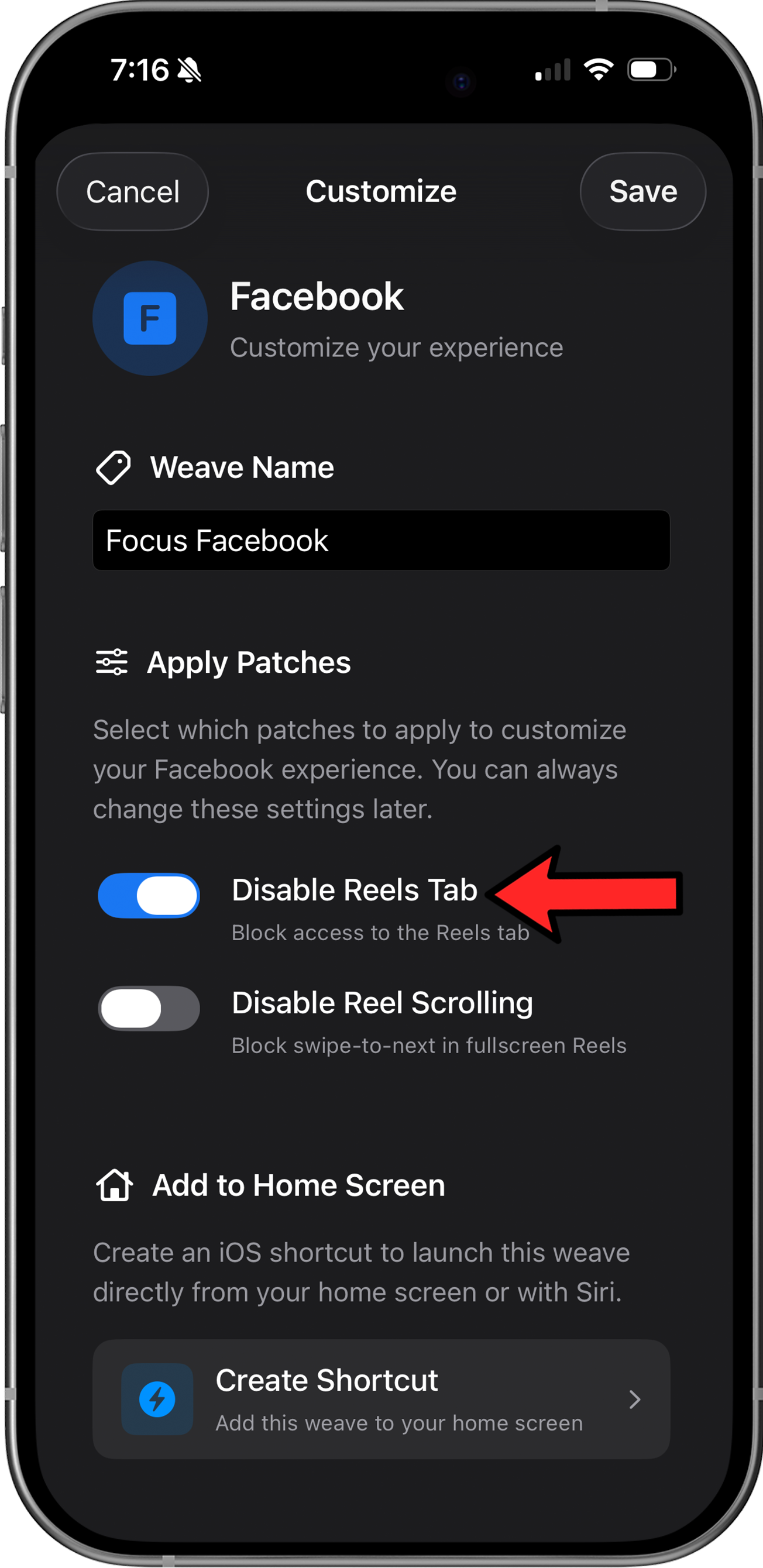 LoomWeb app showing the Disable Reels toggle for Facebook