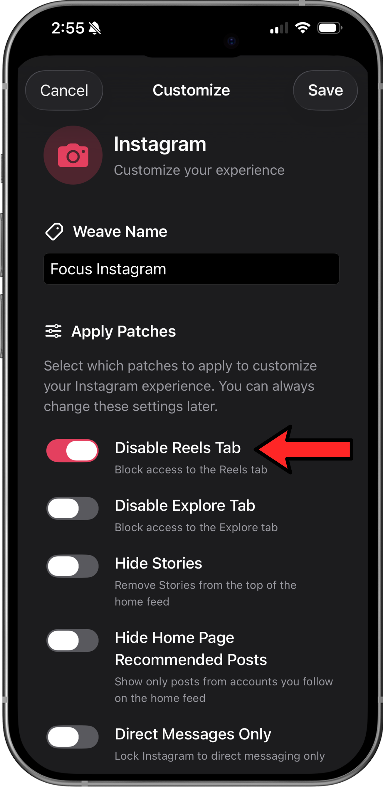 LoomWeb app showing the Hide Reels toggle for Instagram