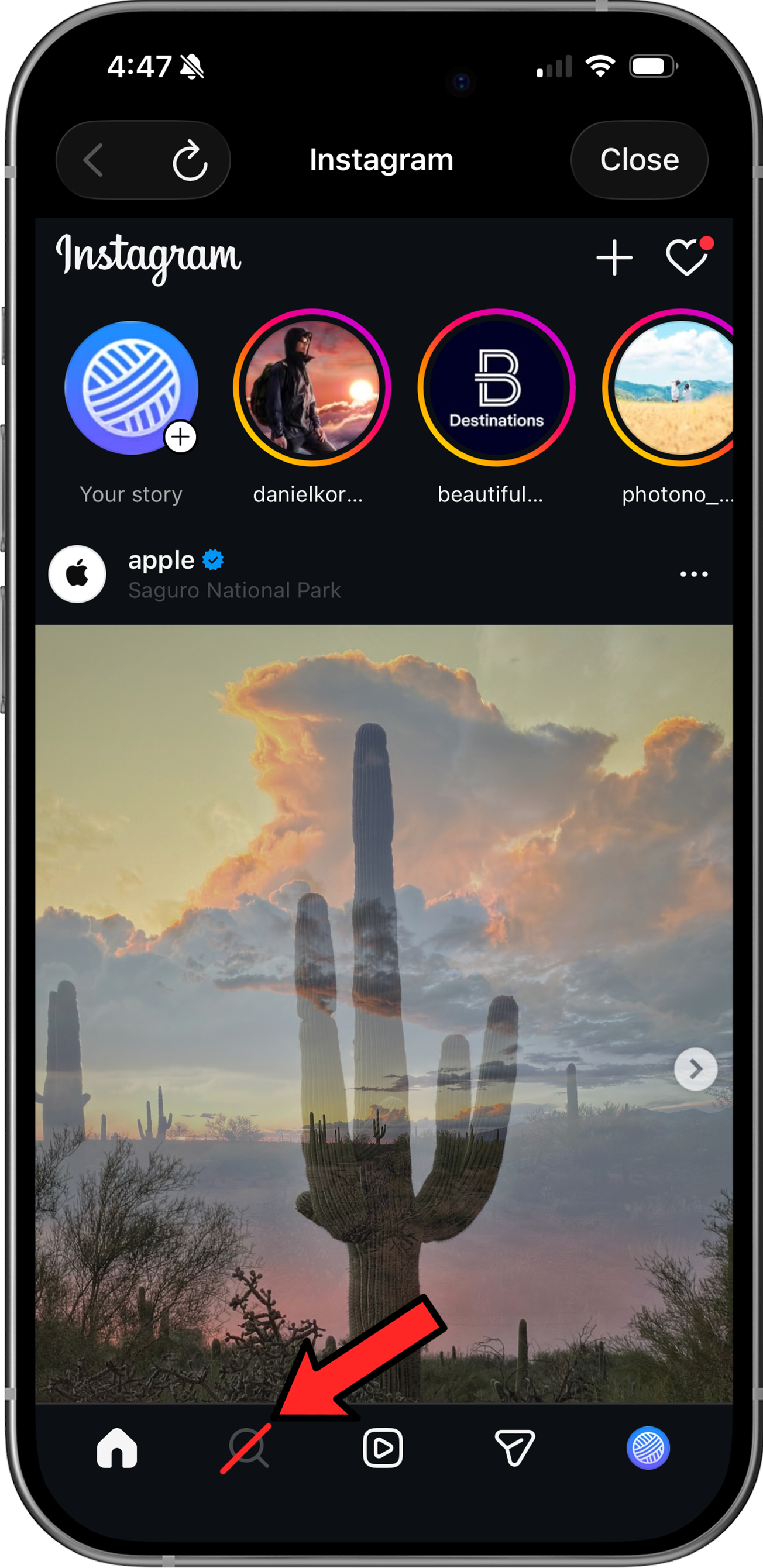 Instagram with Explore page blocked using LoomWeb
