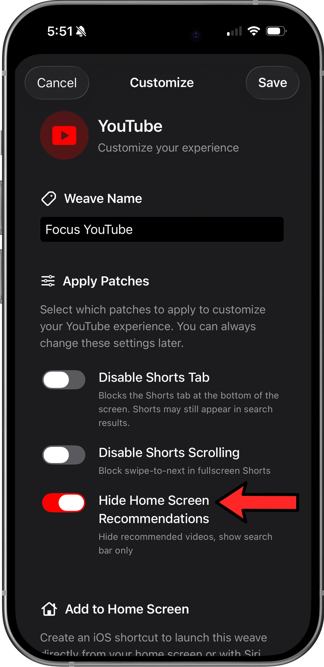 LoomWeb app showing the Hide Home Recommendations toggle for YouTube